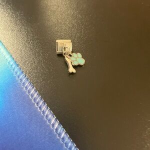 Charming Silver and Blue Paw Bracelet